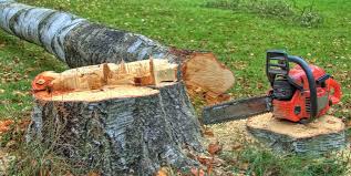  , IN Tree Services Pros
